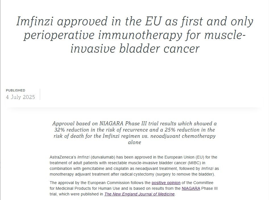 Yüksel Ürün (@dryukselurun) on Twitter photo Durvalumab approved in the 🇪🇺EU as the first and only perioperative immunotherapy for muscle-invasive bladder cancer.
Based on NIAGARA trial:
32% ⬇️recurrence risk, 25%⬇️ risk of death.
Proud to be part of this journey as a study site.
<a href="/OncoAlert/">OncoAlert</a> <a href="/WorldBladderCan/">World Bladder Cancer Patient Coalition</a>
<a href="/tompowles1/">Tom Powles</a> Durvalumab approved in the 🇪🇺EU as the first and only perioperative immunotherapy for muscle-invasive bladder cancer.
Based on NIAGARA trial:
32% ⬇️recurrence risk, 25%⬇️ risk of death.
Proud to be part of this journey as a study site.
<a href="/OncoAlert/">OncoAlert</a> <a href="/WorldBladderCan/">World Bladder Cancer Patient Coalition</a>
<a href="/tompowles1/">Tom Powles</a>