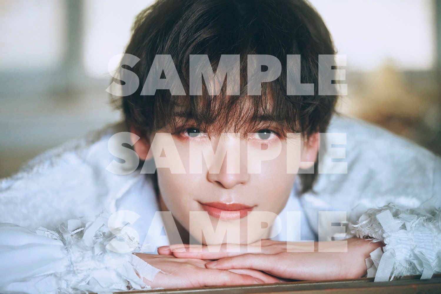 7ORDER 写真集（通常版）シブツタ特典付き シブツタ2.5d on X: 