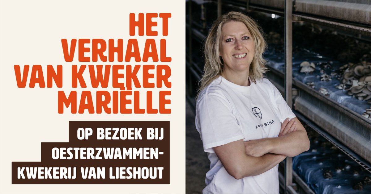 Oesterzwammen's tweet photo. 💚⚡
𝗟𝗲𝗲𝗿 𝗼𝗻𝘇𝗲 𝗼𝗲𝘀𝘁𝗲𝗿𝘇𝘄𝗮𝗺𝘁𝗲𝗹𝗲𝗿𝘀 𝗸𝗲𝗻𝗻𝗲𝗻
 
We stellen onze leden graag aan je voor. 

Deze keer zetten we Oesterzwammenkwekerij van Lieshout uit Liessel in het zonnetje.

Lees het hier > https://t.co/jpRHSuzd8X https://t.co/4sXU9pmW3L