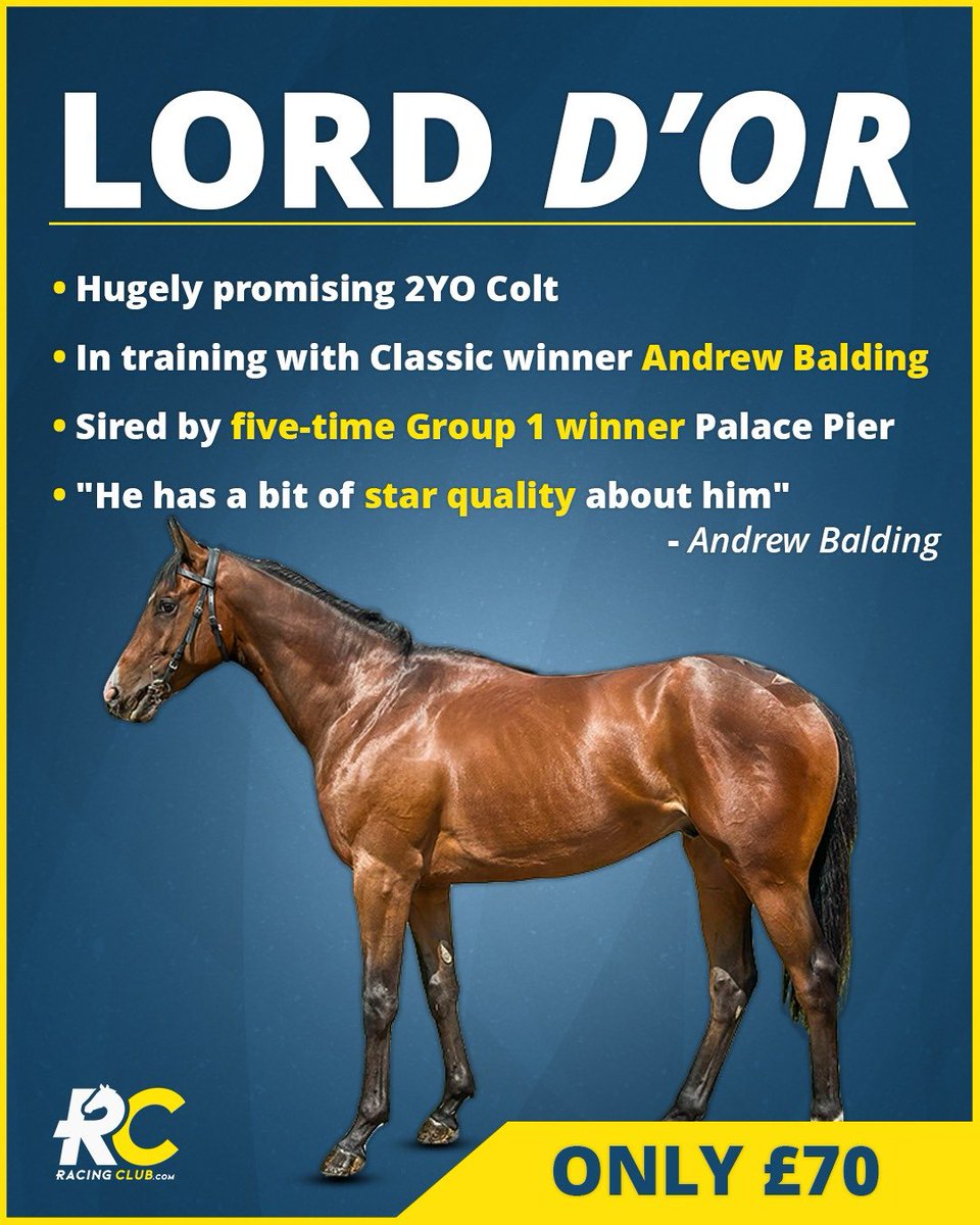 Racing Club (@racingclubvip) on Twitter photo 🔓We have unlocked shares in our new 2yo Lord D’Or!
🔥He is a seriously smart colt who is bred to be pretty special!
His trainer <a href="/AndrewBalding2/">Andrew Balding</a> has labeled him as a horse that “Has a bit of star quality about him”…
🫵🏻Become an owner and meet us at the races!
👀Shares just 🔓We have unlocked shares in our new 2yo Lord D’Or!
🔥He is a seriously smart colt who is bred to be pretty special!
His trainer <a href="/AndrewBalding2/">Andrew Balding</a> has labeled him as a horse that “Has a bit of star quality about him”…
🫵🏻Become an owner and meet us at the races!
👀Shares just