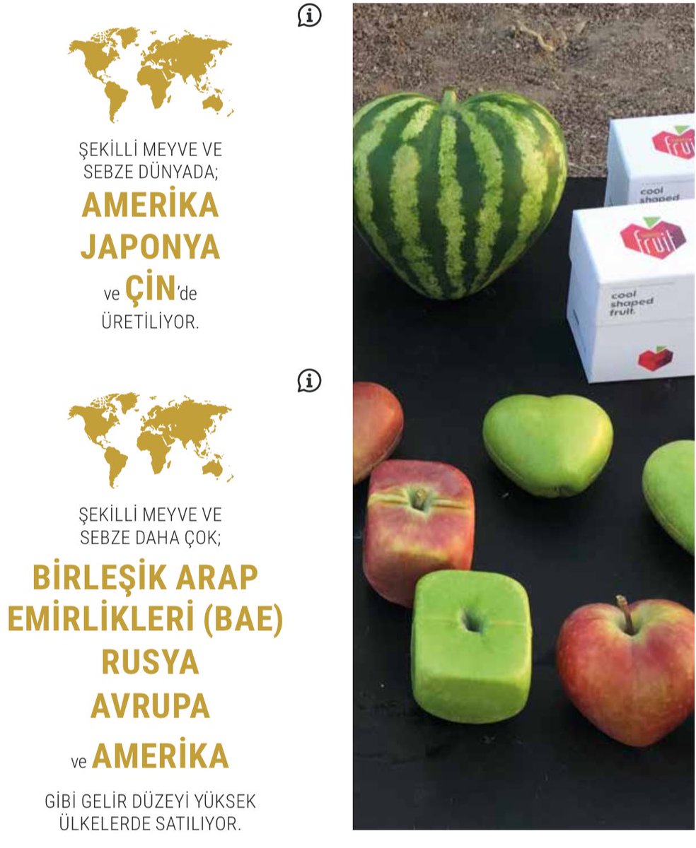 TARIMSAL İNOVASYON VE GİRİŞİMCİLİKDE ÖNERİLER -2

• Beyin göçünü durdurmak için insan kaynağı sınıflaması ile tedbir alınmalı, yurt dışındaki inovasyon kapasitesi yüksek bilim insanları ülke sınırları içerisinde sonuç odaklı çalışmalar için motive edilmelidir.

• Elektronik,