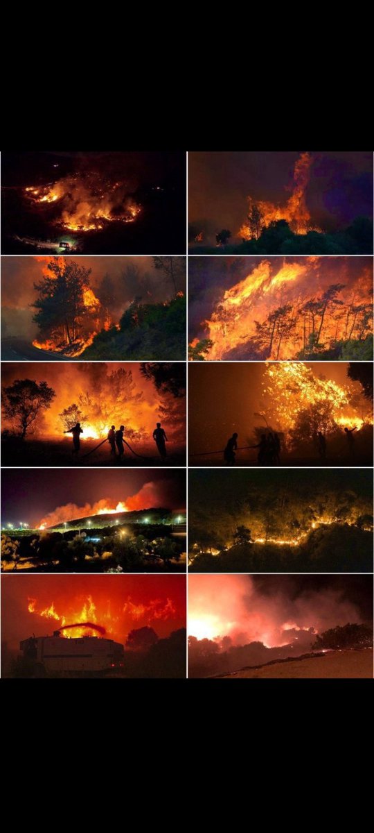 🚨🇹🇷🔥 The Erdogan regime let the Izmir region burn with no help, no planes, no shame. While people begged for aid, the regime sat silent — your money stolen, your land abandoned.

🌍 This is a GLOBAL CALL: Stand with the people of #Turkey — not the dictator who let them burn.