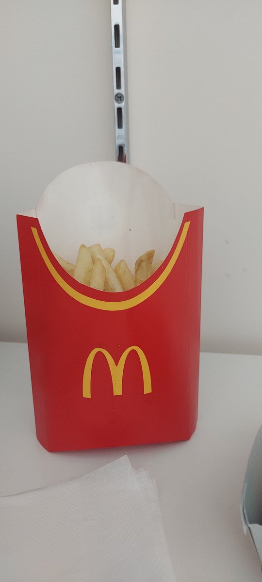マックでLサイズ頼んだらこれ来て発狂