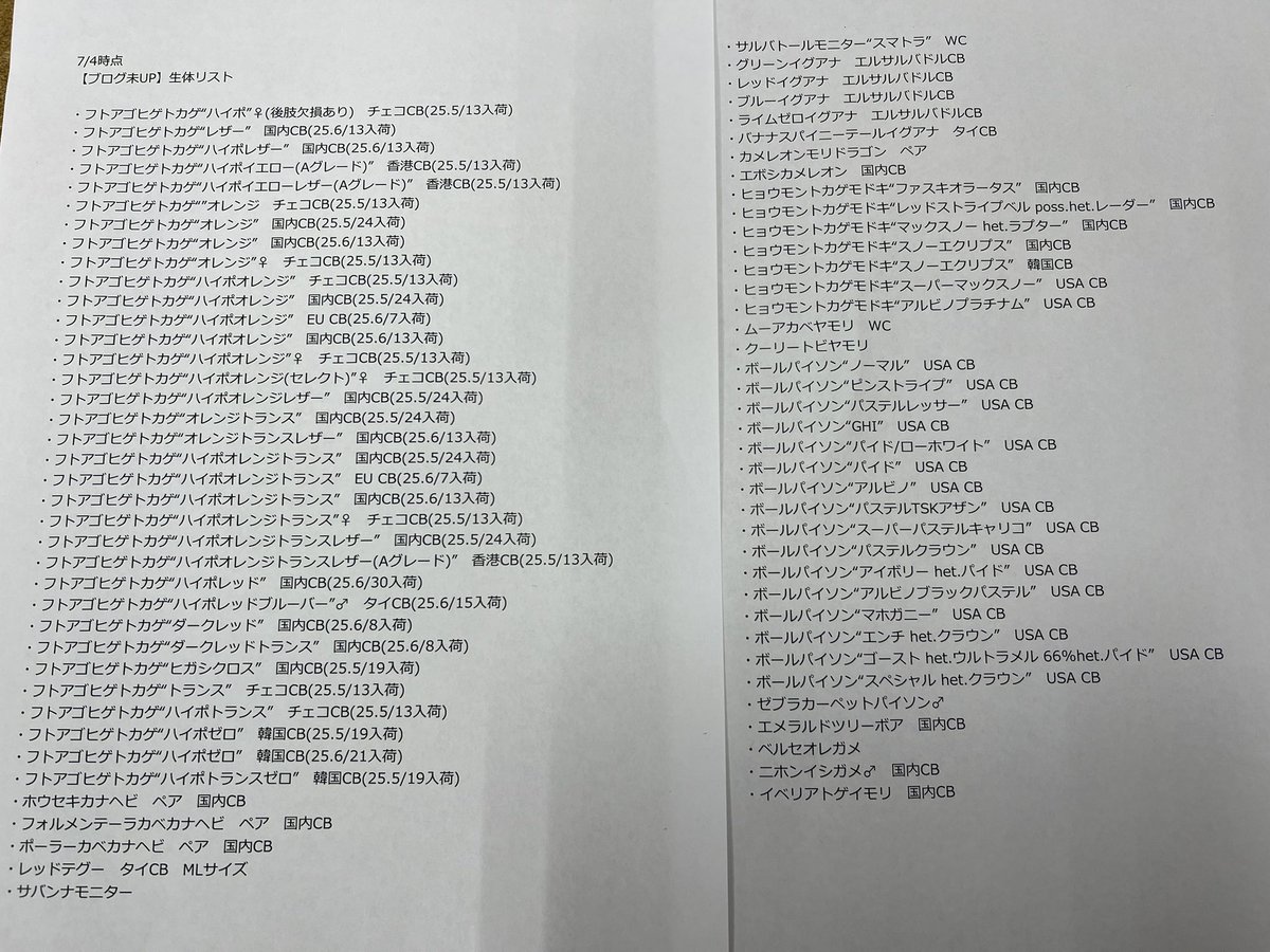 いよいよ今週末は『決算バーゲン』がスタートして最初の土日‼️
平日もビックリプライスを見に来てくれた方々がたくさんいました😊うれしい限りです♫
新着生体の写真付きブログがなかなか更新できていませんが土日前なのでリストだけでも更新です✏️🗒️ 
remix-net.co.jp/?p=845983

【大熊】