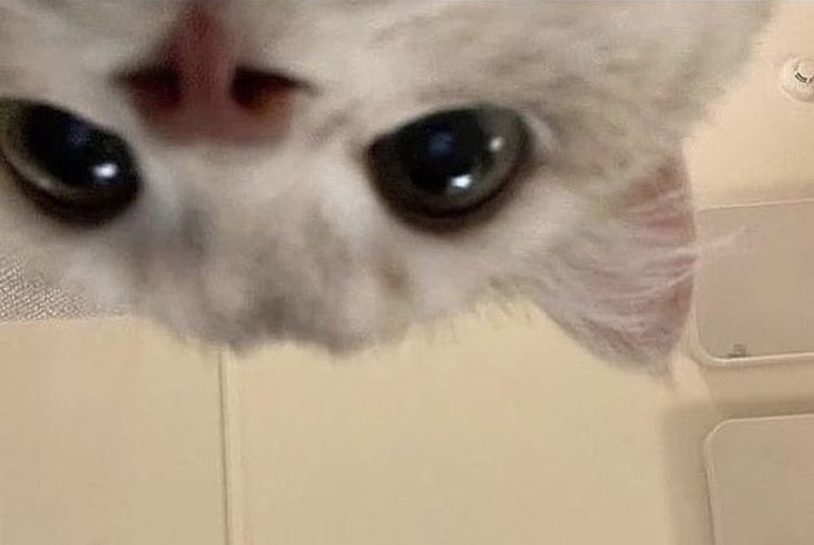 jming_o's tweet photo. 뺘꼼 https://t.co/htVF7uzC6c
