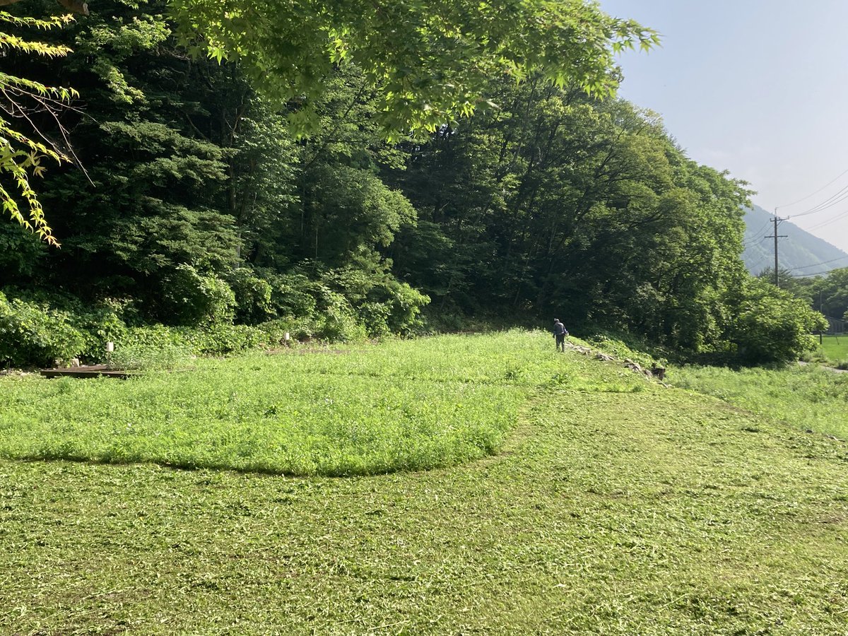 asahivalley's tweet photo. 晴れています☀️雨が降ったりし、草もぐんぐんと伸びてきました🌱本日は里山オフィスの草刈り作業を行いました。少しずつ綺麗になっていく姿は最高です😊

#野俣沢林間キャンプ場
#小型ドローン
 #DJIAction5pro
#あさひプライムスキ場ー
 #朝日村
 #コテージ
#里山オフィス https://t.co/2kwoPjQE2r