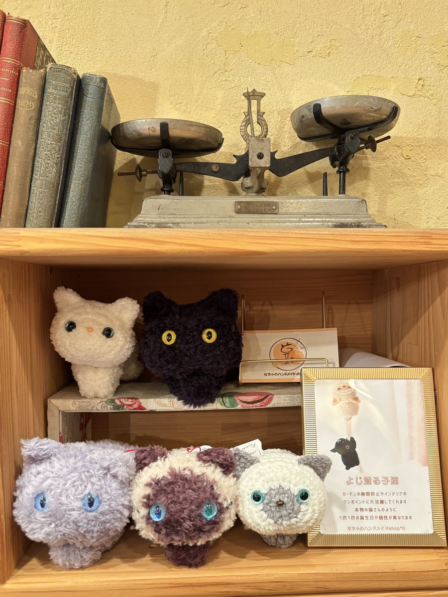 nachiyaCh's tweet image. こんにちは(ฅ'ω'ฅ)
今日は委託先のルポポさん(@Lupopo_cafe )に納品に行ってきました♪
現在出張中の猫たちはこの子達になります🐾
Special eyeの子達も無事並べました♡
個展も見させていただき素敵な石に目も心も元気をもらいました✨
#ルポポ作家
#あみぐるみ
#猫