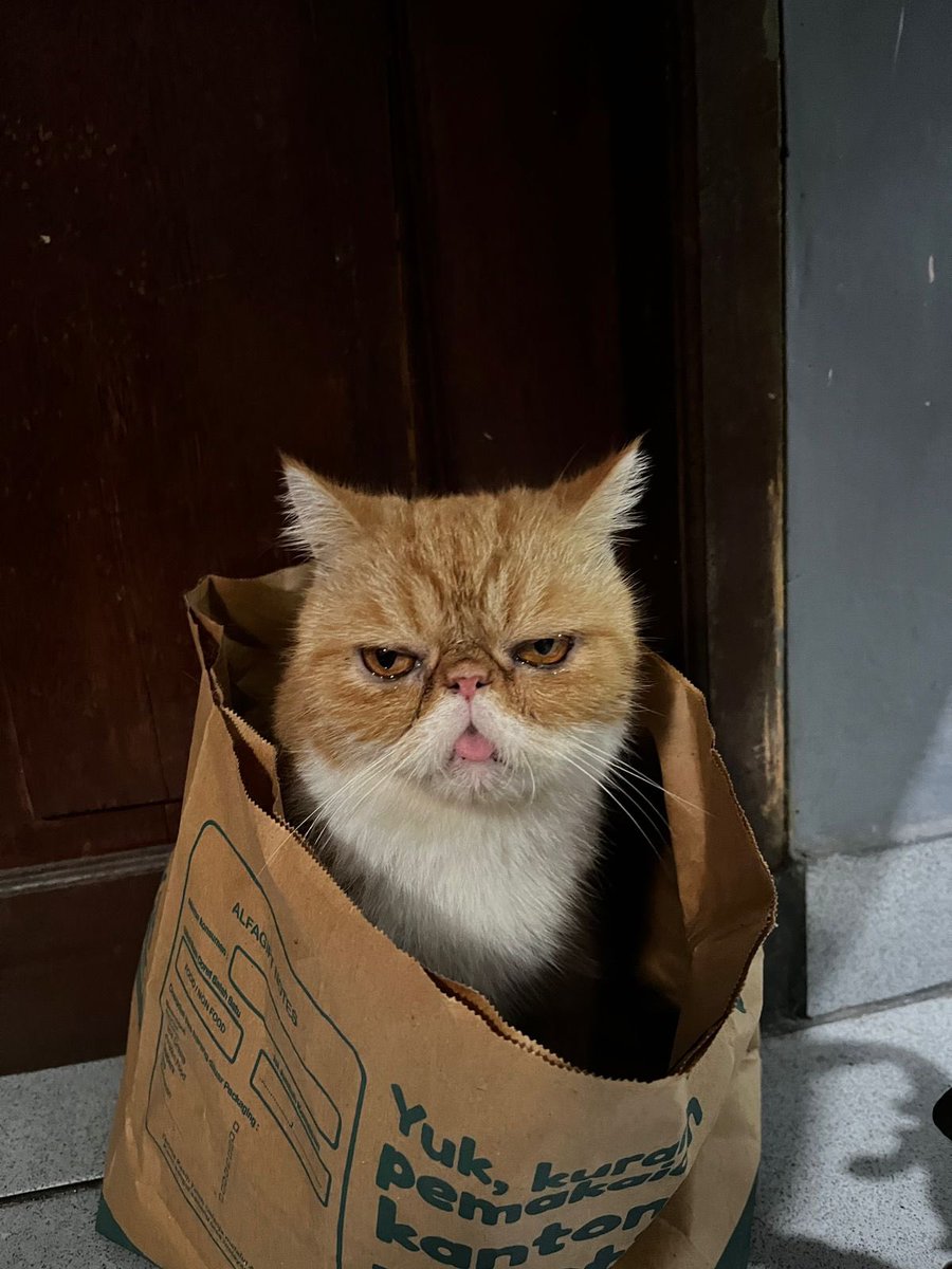Bocchi Evergarden yang anteng, melet mulu