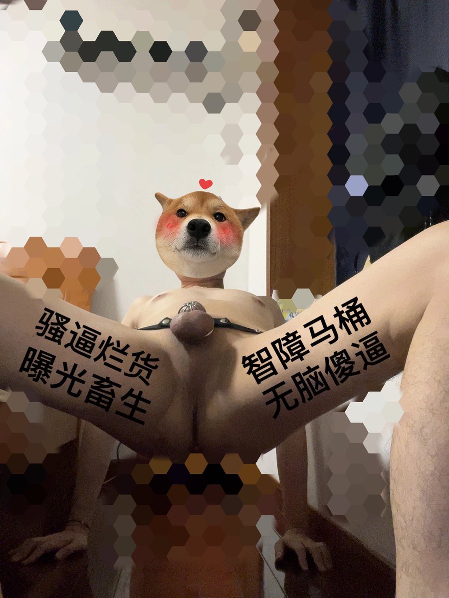 masterdaddyG's tweet photo. 骚狗又来了，来围观！ https://t.co/f88TSLYi65