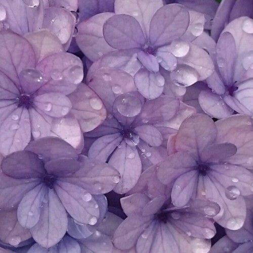 SH1N1NGST4R_'s tweet photo. .𝓟𝓲𝓷𝓷𝓮𝓭.

{ ↻  +  ♡︎ } https://t.co/UTz41QGPEJ