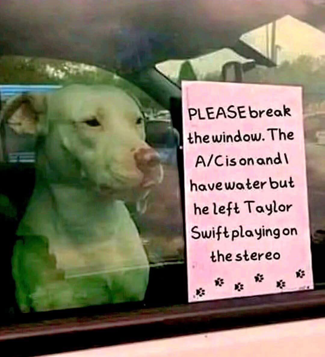 😹😹