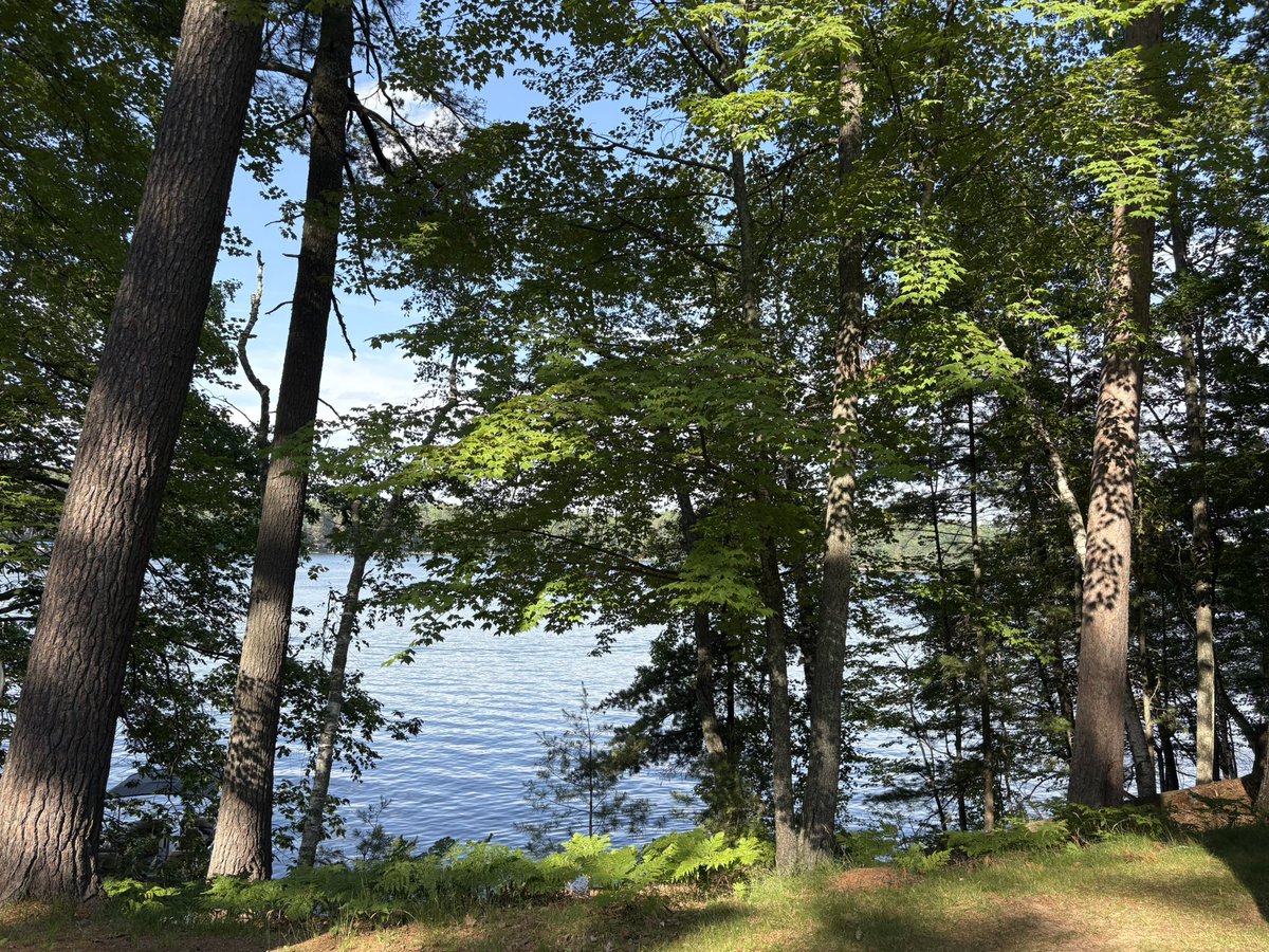 wurstbrewerfan's tweet image. #UpNorth #July4thWeekend