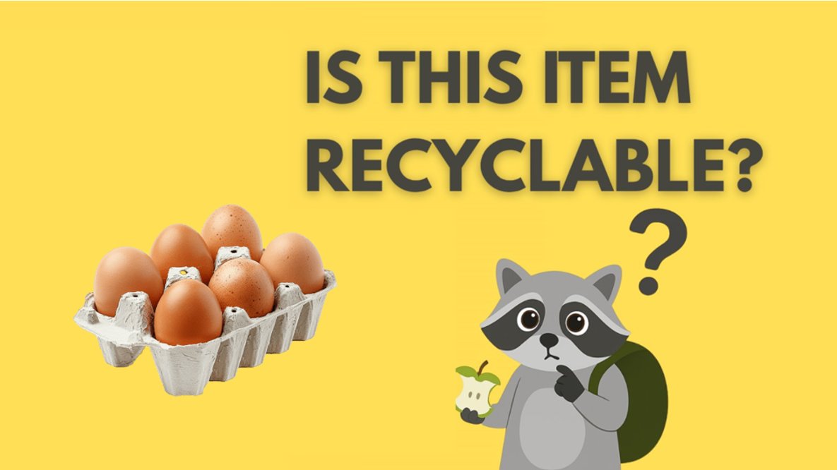 TrashDash_vet_'s tweet photo. Want to level up your recycling game? Start small yet smart β»οΈ
Egg cartons (paper-based) are recyclable! Instead of tossing them in the trash, give them a second life by adding them to your bin π₯ποΈ
#TrashDashTips #RecycleRight https://t.co/fjjQl8VVt8