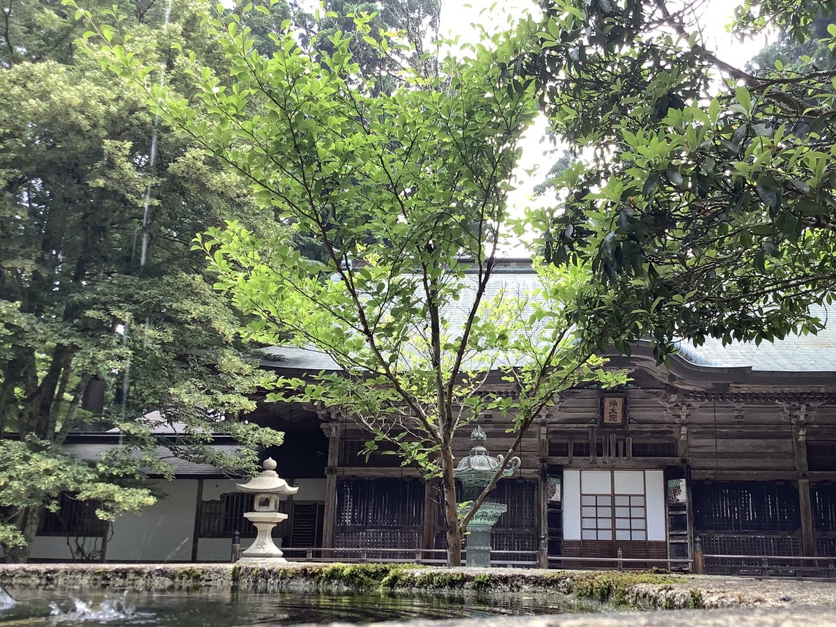 enryakuji_hiei's tweet image. 4日は伝教大師最澄様の月命日です。沙羅の花が咲く御廟所浄土院では、伝教講を奉修し、法華経の問答を行いました。
#比叡山 #延暦寺 #伝教大師 #最澄
#浄土院 #法要 #論議 #月命日