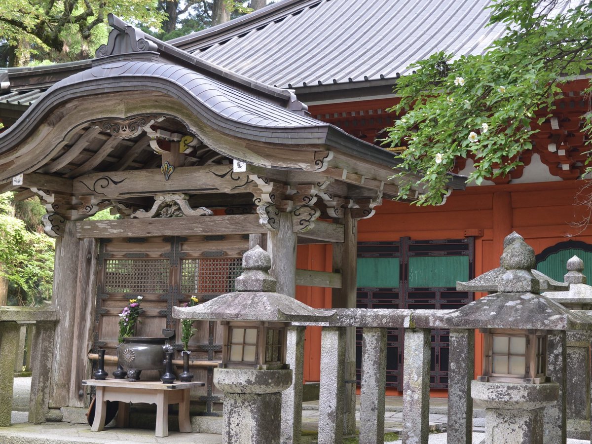 enryakuji_hiei's tweet image. 4日は伝教大師最澄様の月命日です。沙羅の花が咲く御廟所浄土院では、伝教講を奉修し、法華経の問答を行いました。
#比叡山 #延暦寺 #伝教大師 #最澄
#浄土院 #法要 #論議 #月命日