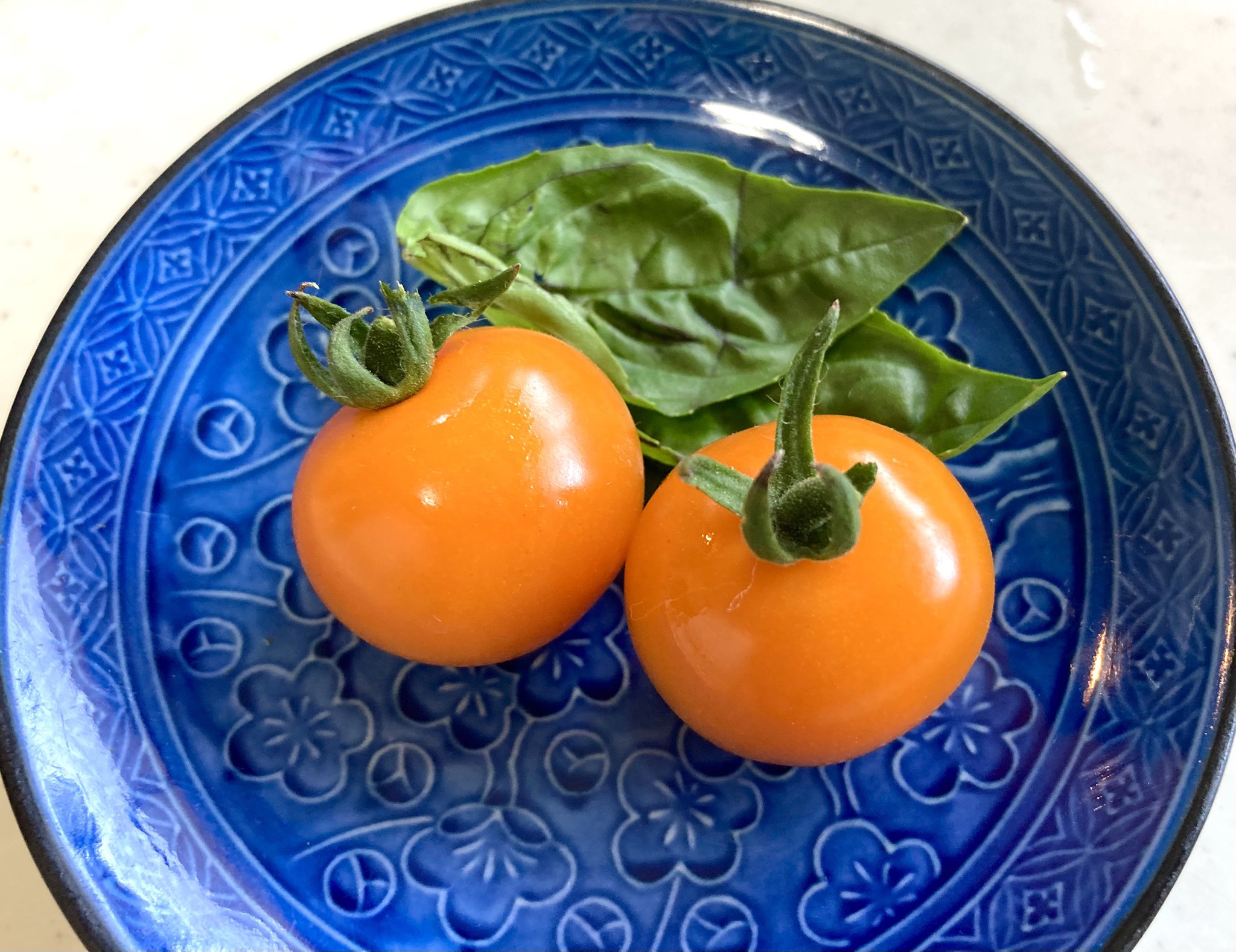 取り扱い商品 | 青森県でトマトの農園ならVege Farm Green Hill