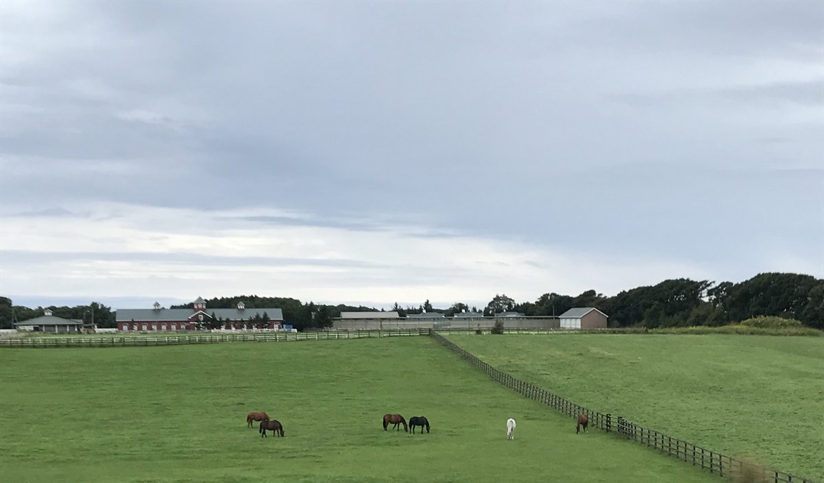 l_2_m_2_ds's tweet image. 🏇
