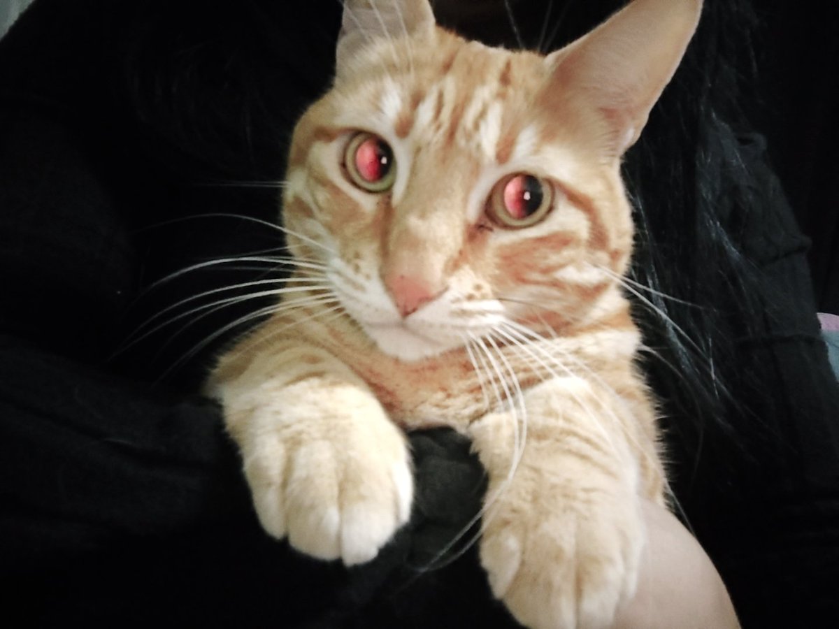 0 thoughts behind those eyes