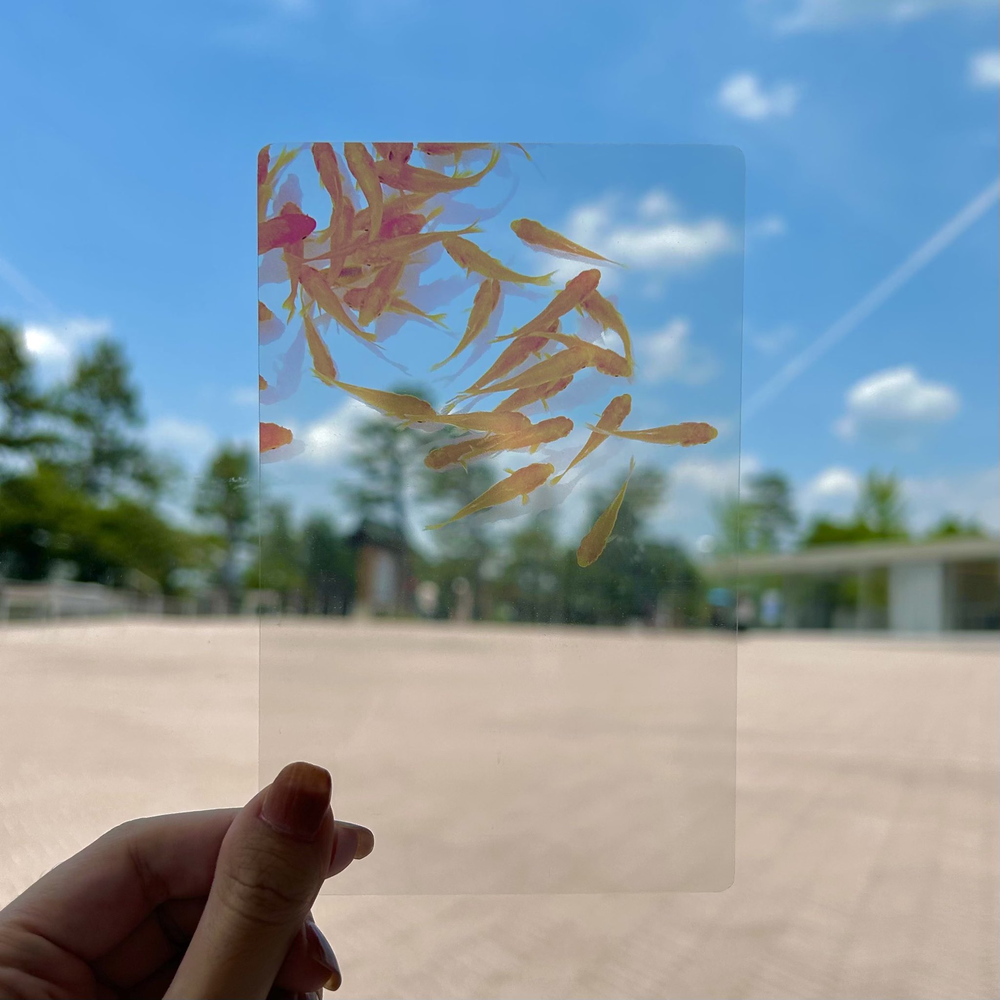 ART RECTANGLE KYOTO (@art_rectangle) / X