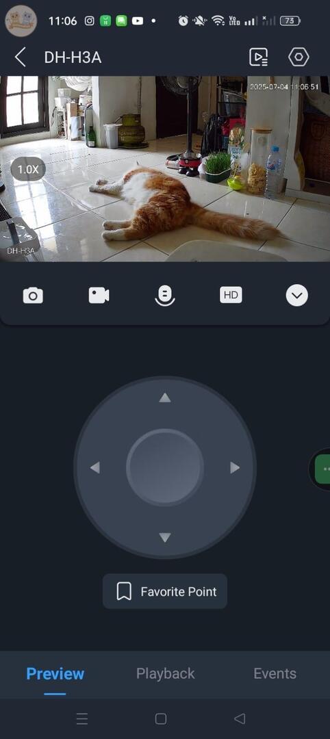 KochengFess v2 tweet media