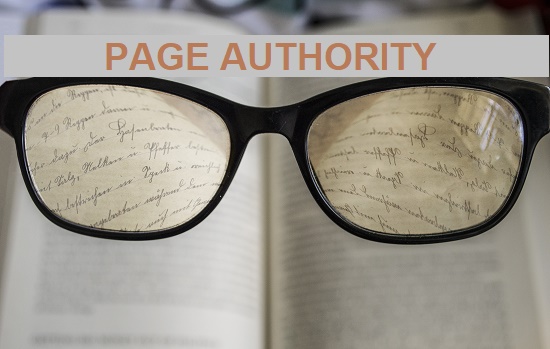 SEOContentIndia's tweet photo. How to Improve #PageAuthority (#PA) &amp; know Its Importance for #SEO 

Read More: https://t.co/DbqMa0PSTy

#SEOContentIndia #SEO_Content_India #SCI #LinkedInGrowth #GrowthTips #RealSEO #LinkBuildingStrategy #TechnicalSEO #SEOTips #WebsiteGrowth #LinkBuilding https://t.co/rXkNhpbpVu