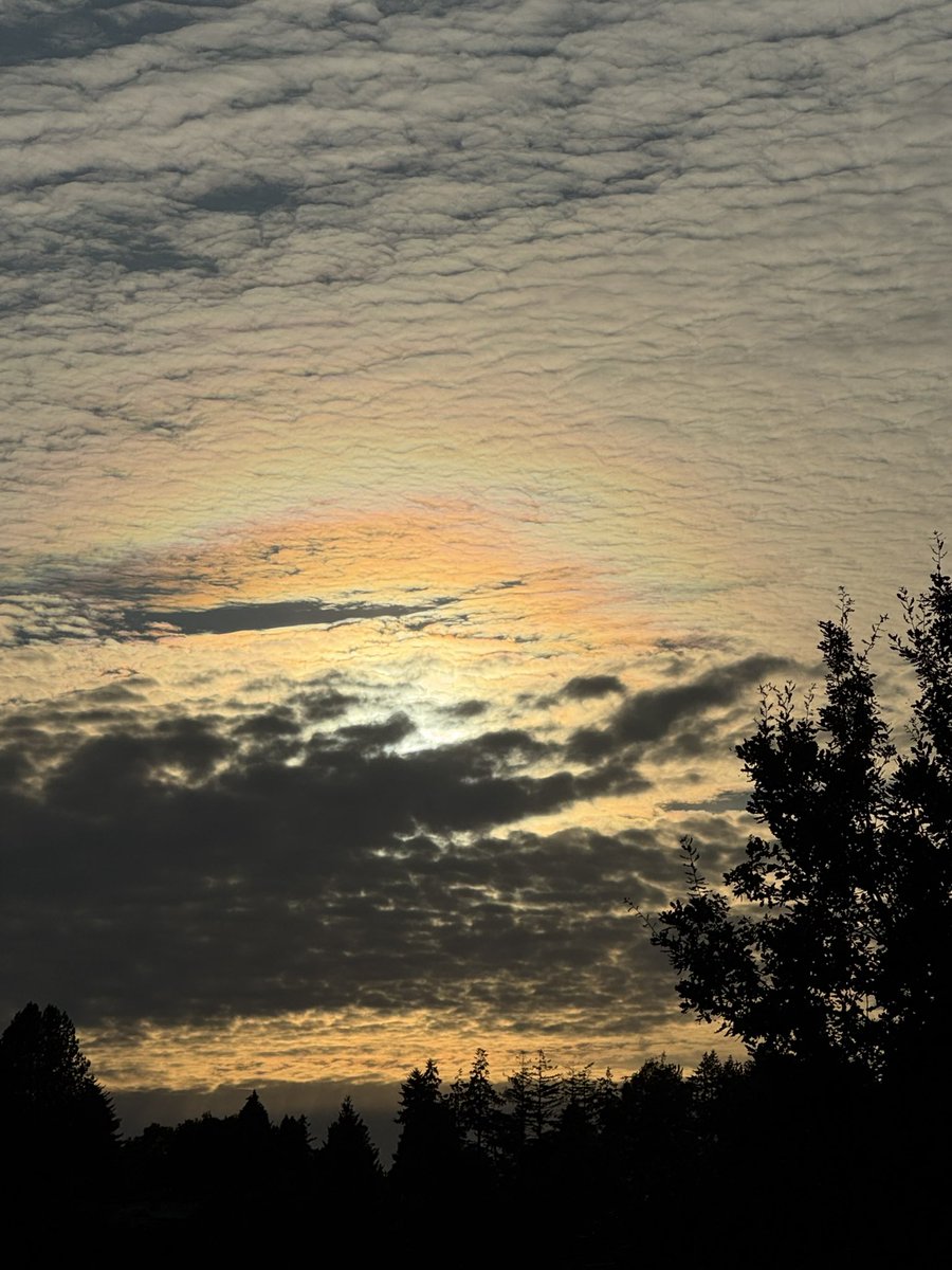 A very cool thing to see tonight in New Westminster. Enjoy! <a href="/MMadryga/">Mark Madryga</a> <a href="/GlobalBC/">Global BC</a>