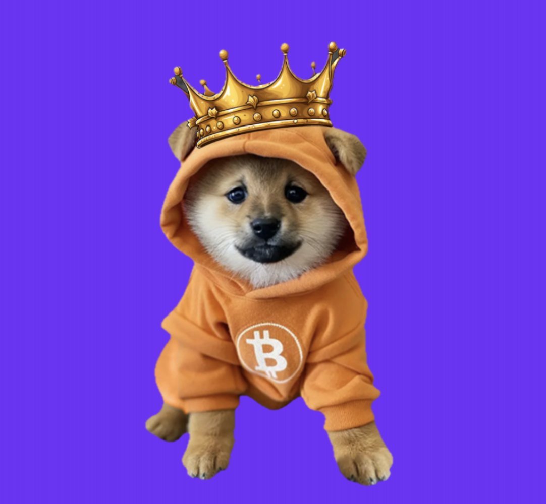 Kraken Pro tweet media