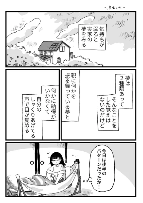 実家のカレー2/3 