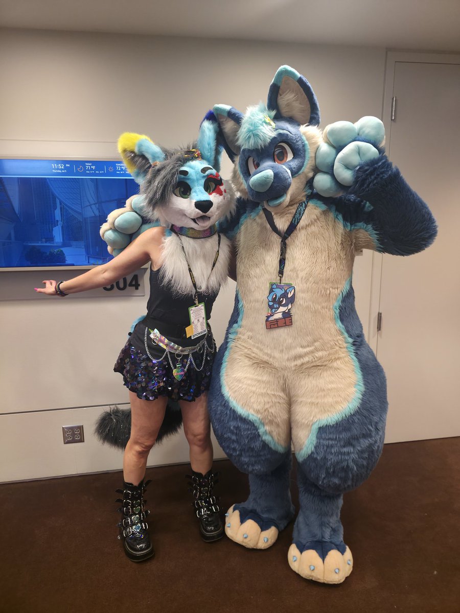 Fuze_Husky tweet media