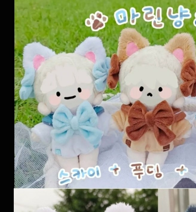 한지 tweet media