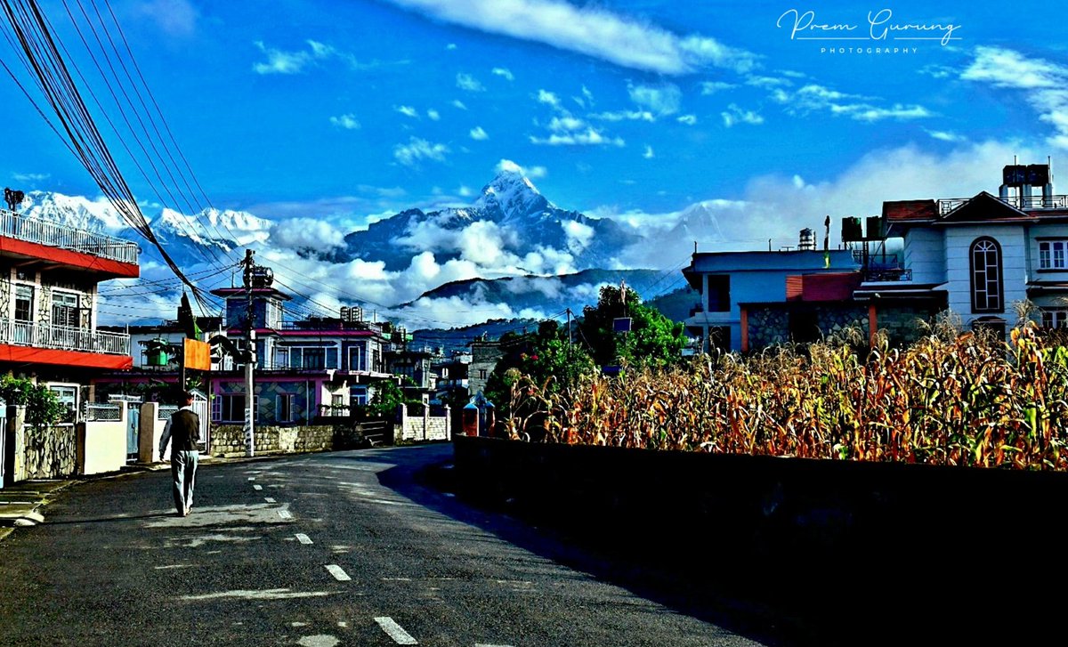 PremPahchu's tweet image. Embracing the morning mist, where the majestic Machhapuchhre and Annapurna stand tall, an old man's steady steps inspire us to keep walking through life's clouds.
Good morning all 🙏☕️🤗🌼🌿🌱
#machhapuchhre #fishtail #annapurna #pokhara #prempahchuphotography