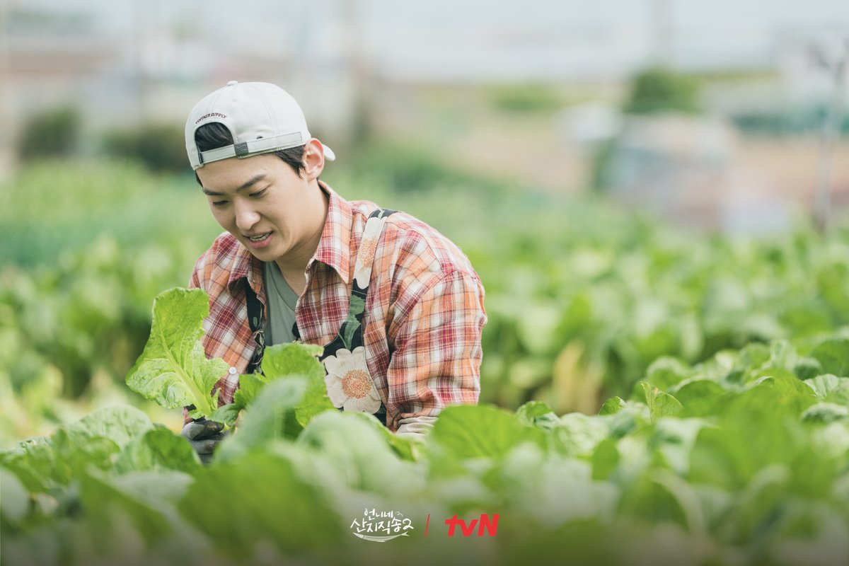 <언니네 산지직송2> 13화 비하인드 스틸🎣

반가웠던 만큼 더 아쉬운
언니들의 영원한 덱쪽이 굿바이👋

#tvN #언니네산지직송2
#염정아 #박준면 #임지연 #이재욱 #덱스
#같이달려tvN #스트리밍은TVING