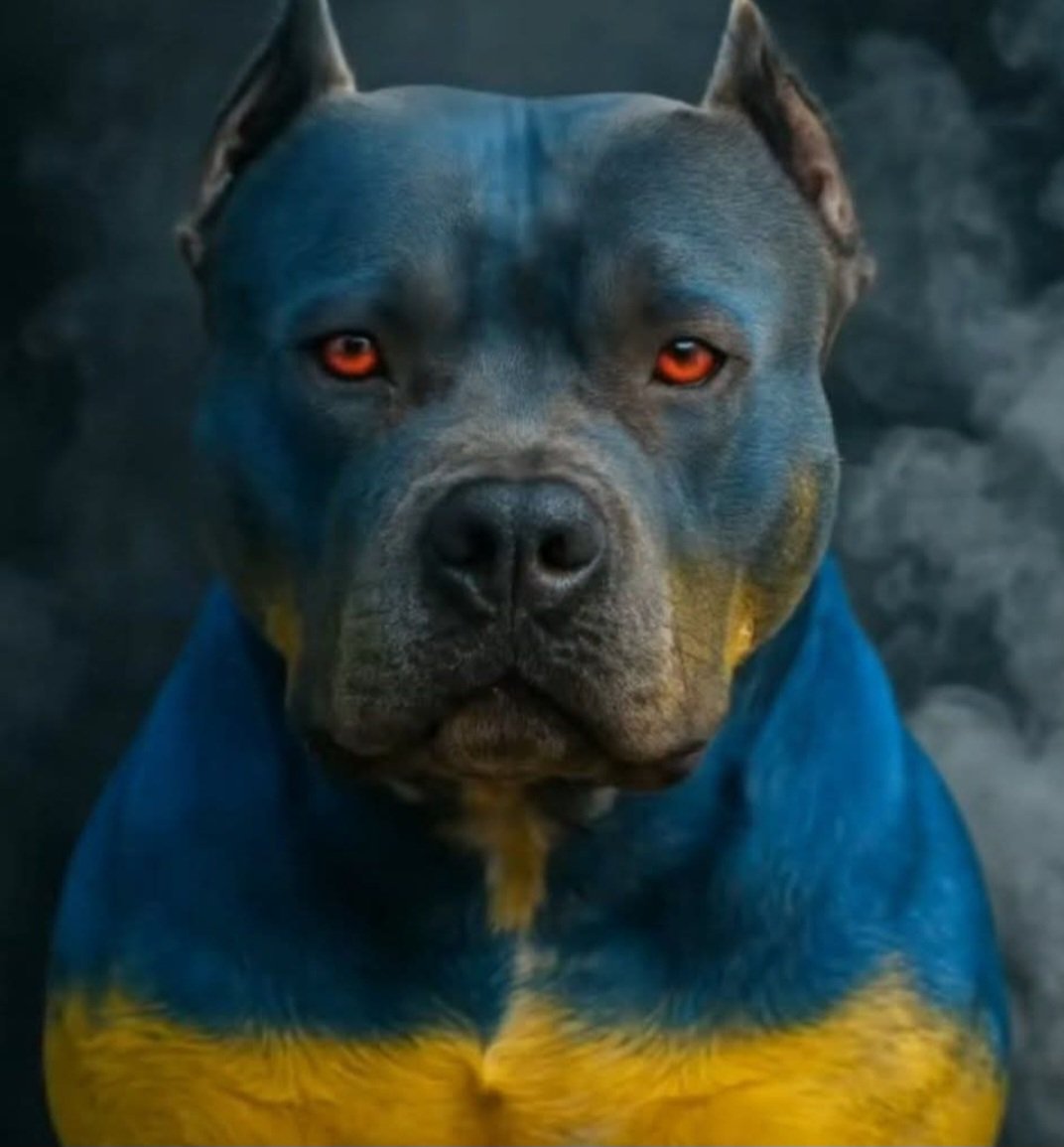 MaiorBysh (@maiorbysh) on Twitter photo 