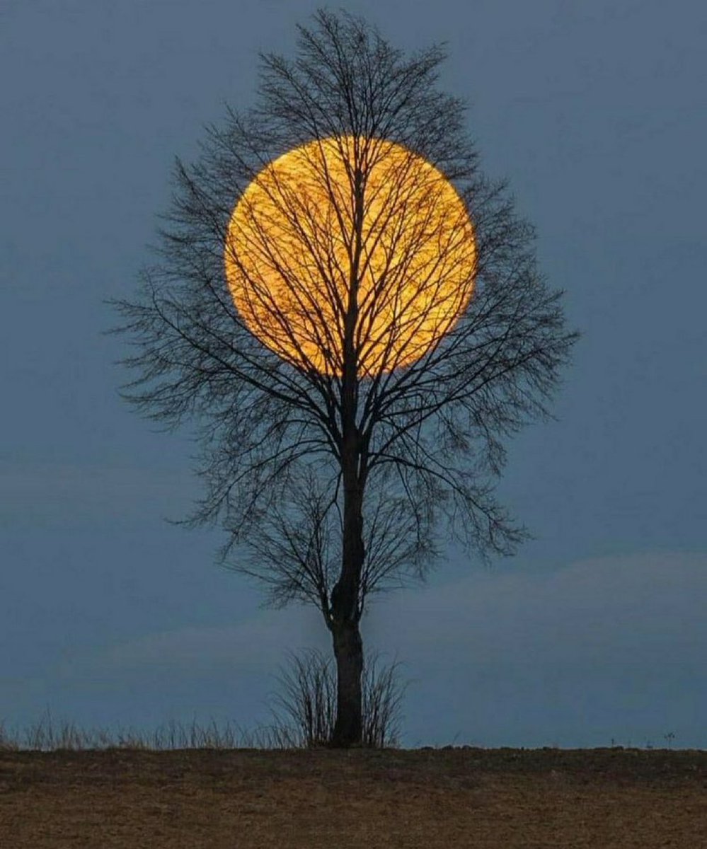 Full Moon lover