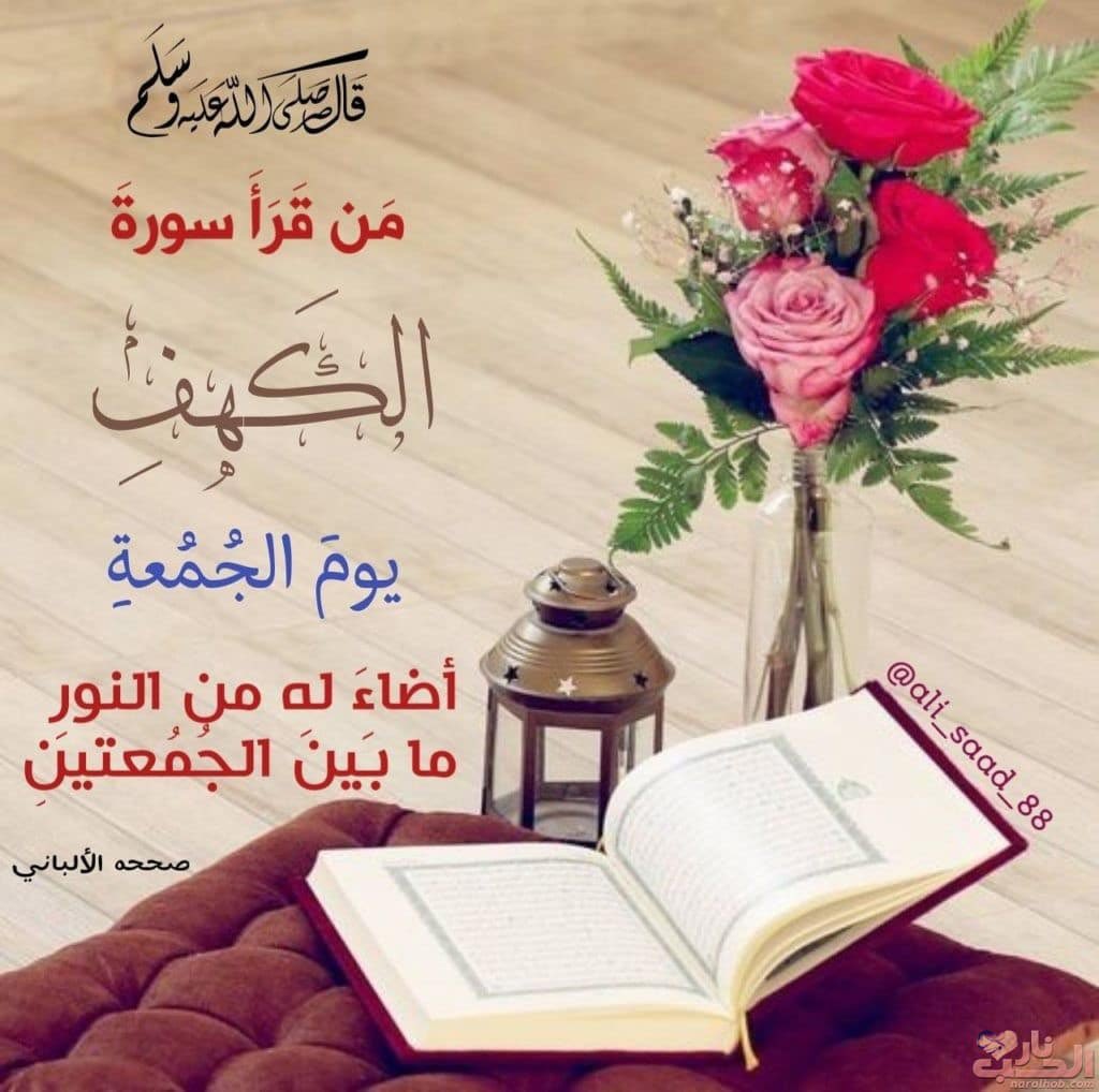 سمورة💕 tweet media