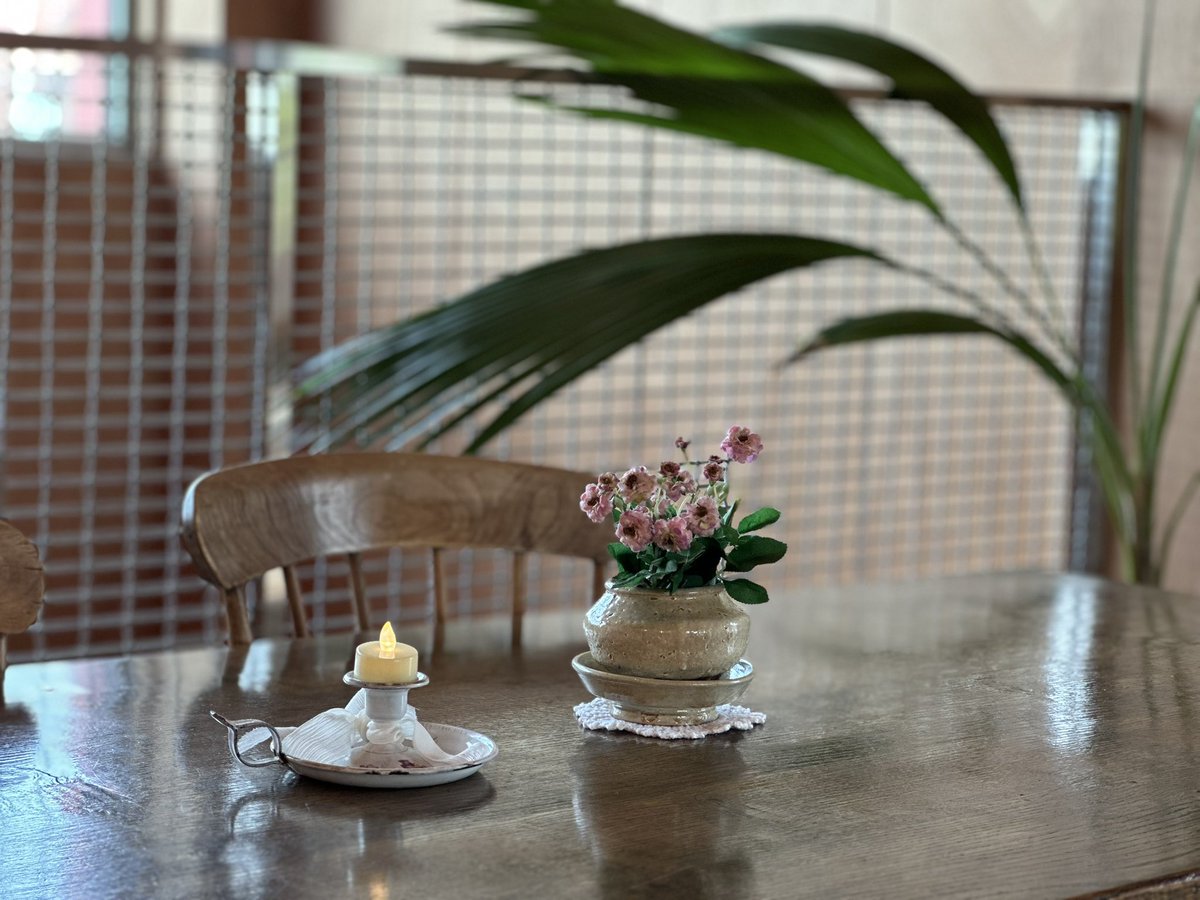 오늘도 제주사슴책방 문을 활짝 열었습니다^^