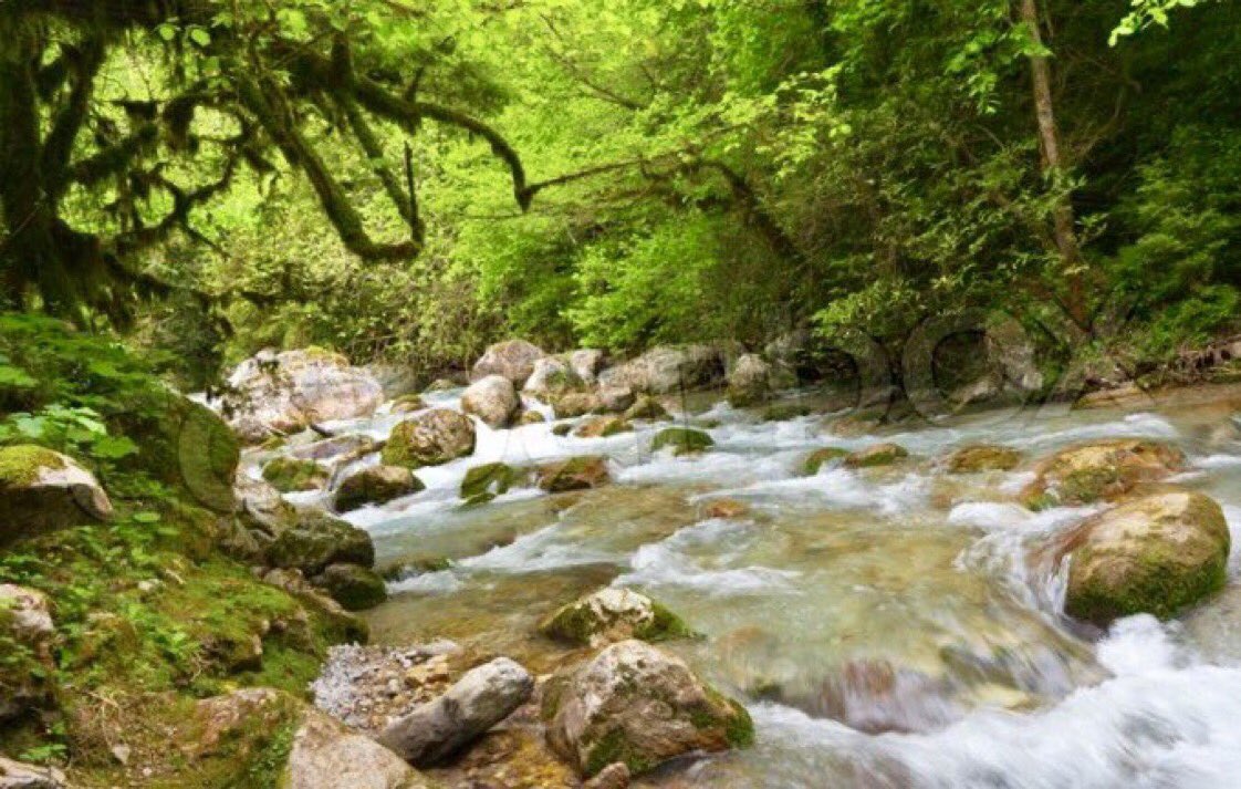 "I would go down to the river and find a quiet place, secluded, hidden beneath the bank, and sit there for hours, watching the water as it gently twisted and eddied past me. Then I might see a damsel fly, its wings making a dry whispering sound." ~C.R.Milne #fridayfeeling
