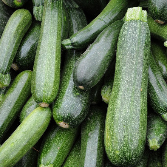 caledelspagesos's tweet image. VERDURES I HORTALISSES DEL MES DE JULIOL: Albergínia, all, blat de moro, carbassó, ceba, cogombre, mongeta tendra, pebrot, tomàquet.