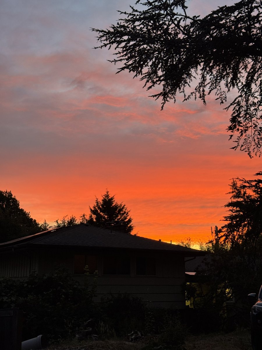 ALittleLucky9er's tweet image. The sunset tonight was crazy beautiful and the pics never do it justice… #CedarMill #NWPDX