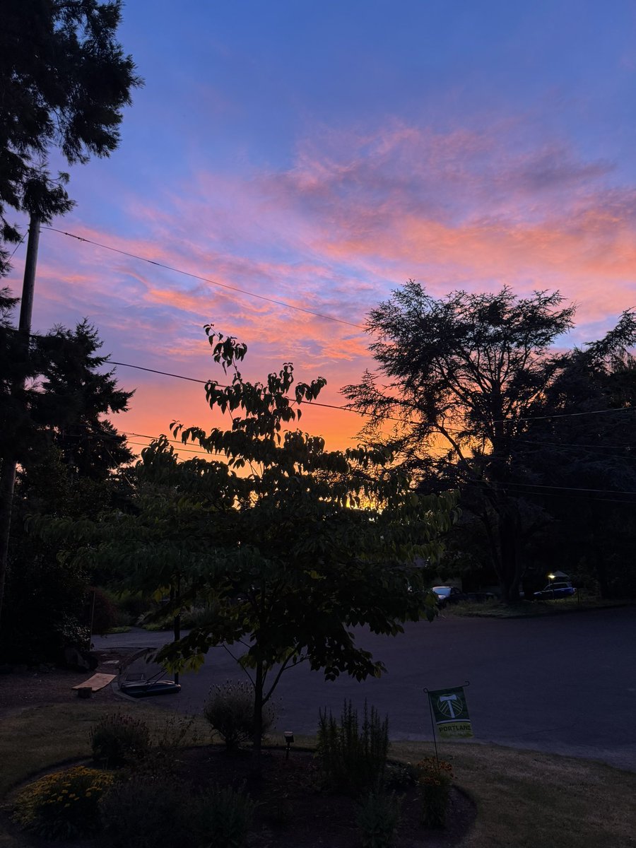 ALittleLucky9er's tweet image. The sunset tonight was crazy beautiful and the pics never do it justice… #CedarMill #NWPDX