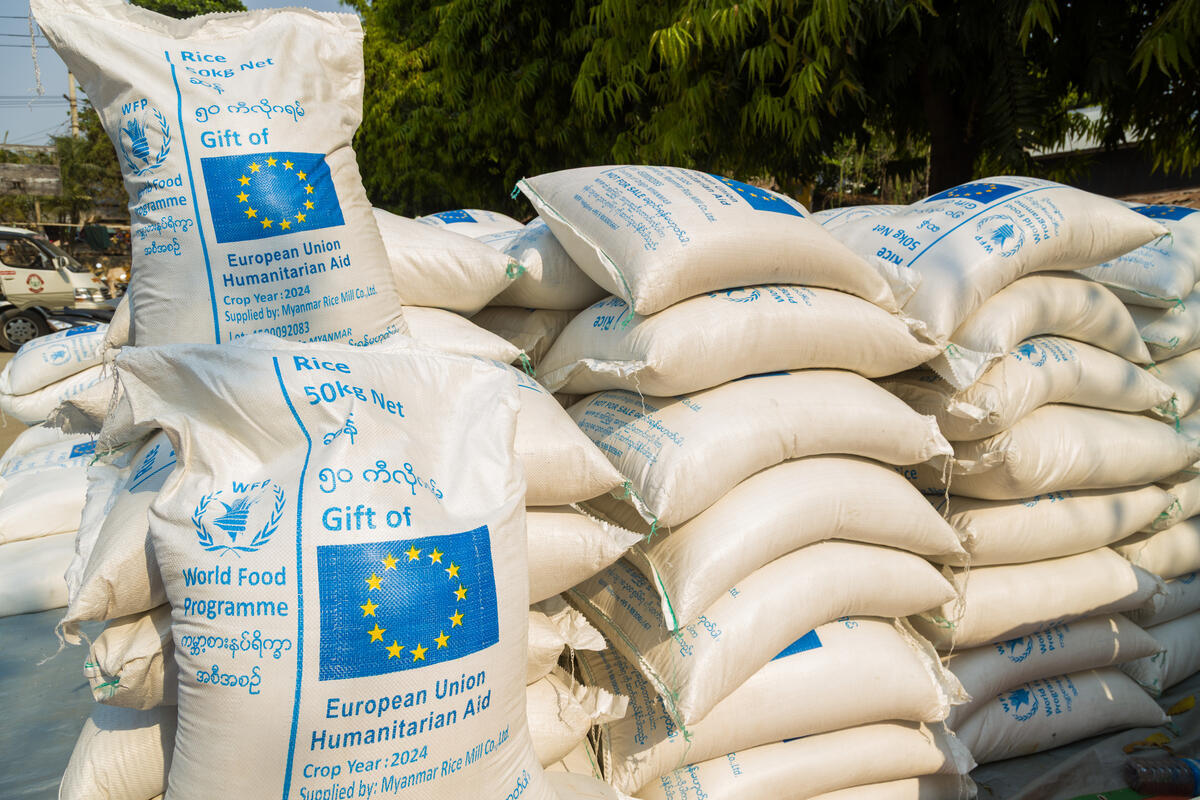 ECHO_Asia's tweet image. In Myanmar, over 16.7 million people are facing acute food insecurity as the conflict continues to escalate.
The European Union works with partners like @WFP to provide those most in need with vital aid, including food and cash for food.