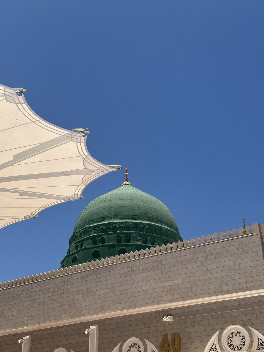 تسْخو على أهل السّؤال فما درَتْ
يُسْراك ما قد أنفقَتْ يُمناكا

كوْنٌ من الألطافِ أمْطَرَ خافِقِي
لمّا سَرَتْ في خاطِري ذِكراكا

إني أحبّك باللسانِ نطقتُها
وعلى فؤادي قد طَبَعتُ هوَاكا

هَتَفَ الفُؤادُ وقد سَعَيْتُ لطَيْبَةٍ
كل ابتِساماتِ الزّمانِ هُنَاكا