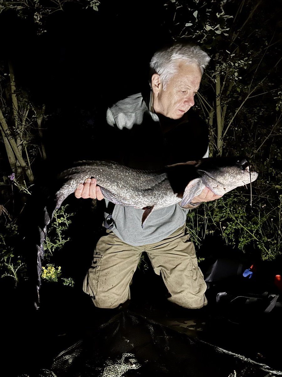 nathan (@nathanwheeler75) on Twitter photo Social cat trip with <a href="/kevpearce25/">Kevin Pearce</a>.All small cats but nice we all had a few.Couldn’t believe only one came out in the hours of darkness and fell to Mr Hulls rod.Good time had by all. Social cat trip with <a href="/kevpearce25/">Kevin Pearce</a>.All small cats but nice we all had a few.Couldn’t believe only one came out in the hours of darkness and fell to Mr Hulls rod.Good time had by all.
