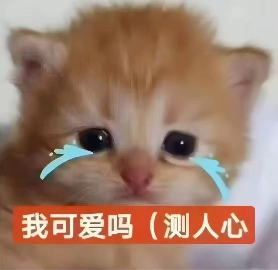 里世界咪 (@sakuyaluv01) on Twitter photo 