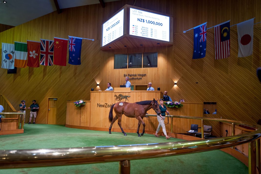 NZ Racing News (@nzracingnews) on Twitter photo NEWS: Entries for <a href="/KarakaChat/">New Zealand Bloodstock</a> 2025 Ready to Run Sale of Two-Year-Olds are now open, with the Sale to be held at the Karaka Sales Centre on 13 and 14 November.
racingnews.co.nz/entries-open-f… NEWS: Entries for <a href="/KarakaChat/">New Zealand Bloodstock</a> 2025 Ready to Run Sale of Two-Year-Olds are now open, with the Sale to be held at the Karaka Sales Centre on 13 and 14 November.
racingnews.co.nz/entries-open-f…