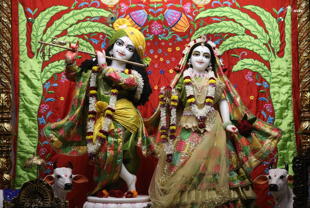 ISKCONPune's tweet photo. 📷Mangal Arati Darshan📷📷04/07/2025📷 📷@ISKCONNVCCPune📷
.
.
#ISKCON #ISKCONNVCC #ISKCONNVCCPune #ISKCONPune
#3rdjuly #3rdjuly2025 #Thursday #Vrindavan
#Harinaamsankirtan #Radheshyamdas #Radheradhe
#Sankirtan #Kirtan #Mayapur #Prabhupada #iskconmandir
#GVE #GovardhanEcoVillage https://t.co/Xm9BfFBpPC