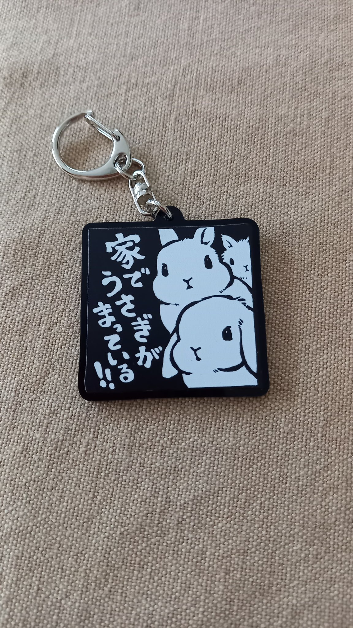 家でうさぎがまっている - Cerca / X