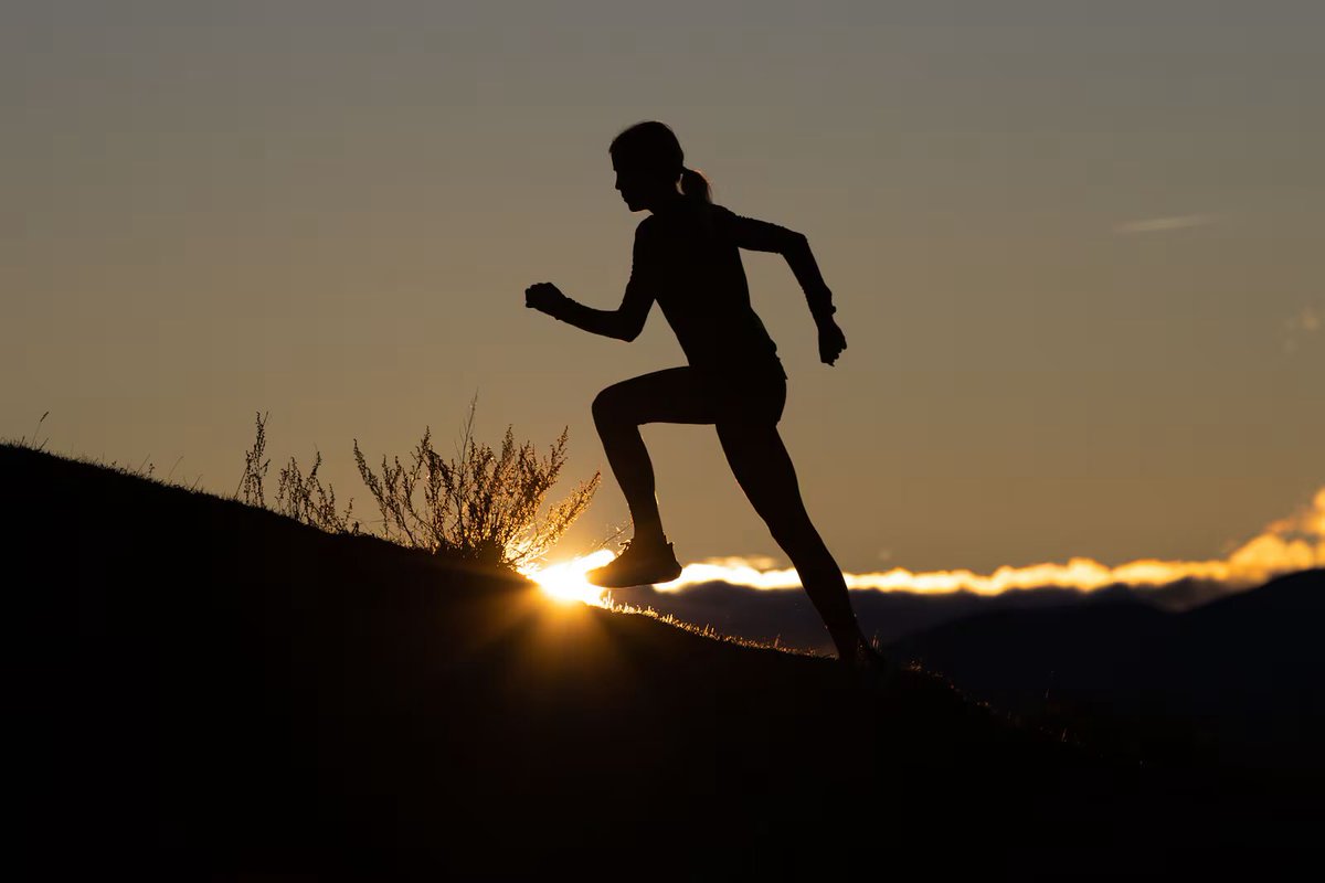 Optimum Sports (@optimum_sports) on Twitter photo HAUTE CUISINE ⛰️
Reaching a new running high at altitude in the French Pyrenees
<a href="/soniaagrith/">sonia osullivan</a> <a href="/IrishTimesSport/">Irish Times Sport</a> <a href="/ianoriordan/">Ian O'Riordan</a>
irishtimes.com/sport/athletic… HAUTE CUISINE ⛰️
Reaching a new running high at altitude in the French Pyrenees
<a href="/soniaagrith/">sonia osullivan</a> <a href="/IrishTimesSport/">Irish Times Sport</a> <a href="/ianoriordan/">Ian O'Riordan</a>
irishtimes.com/sport/athletic…