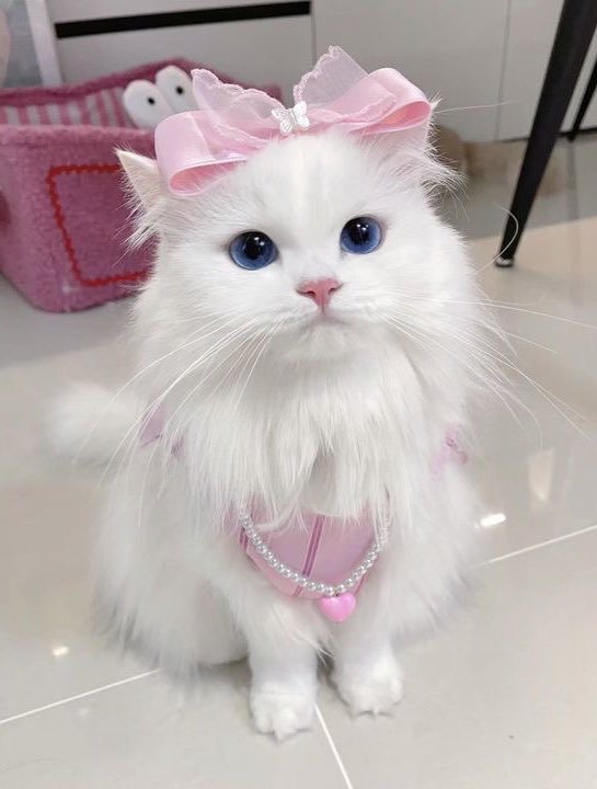 𝖭𝗈𝗋𝗅✿𝗋 (@foreverwtheve) on Twitter photo 