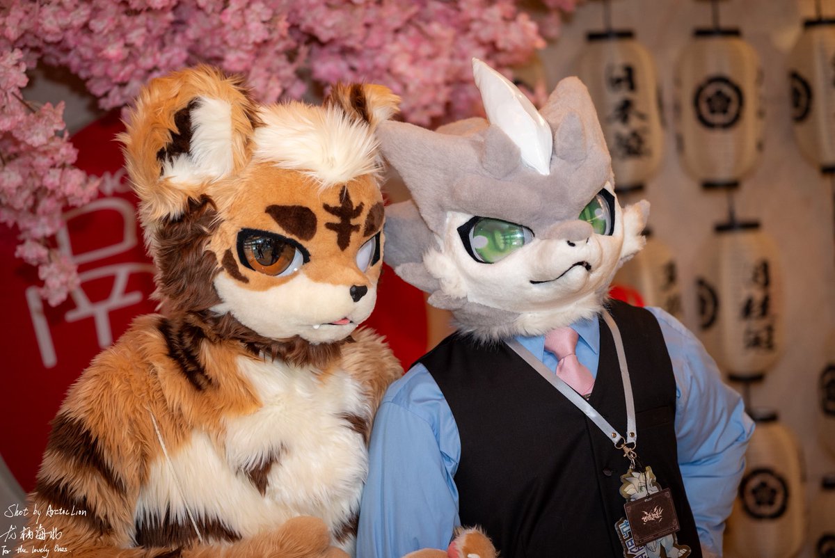 本周是各种合影，到处合影。
📷：@龙栖海北 
#FursuitFriday